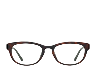 Blue Elephant Sunglasses Hoen Leopard
